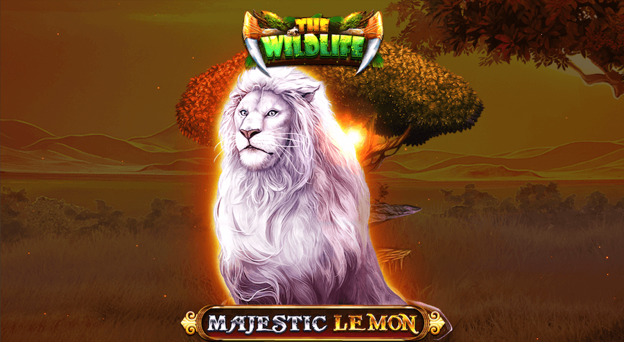 /wp-content/uploads/2024/04/Lemon-Casino-Majestic-Lemon.png