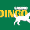 Casino Dingo – Opinia, Recenzja Kasyna – Kody Promocyjne