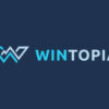 Wintopia – Opinia, Recenzja Kasyna – Kody Promocyjne